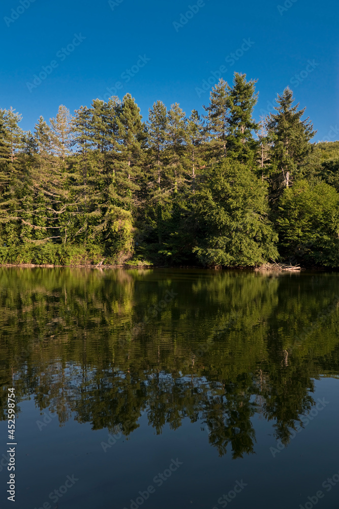 Lake at Umbra forest Lake at Umbra forest