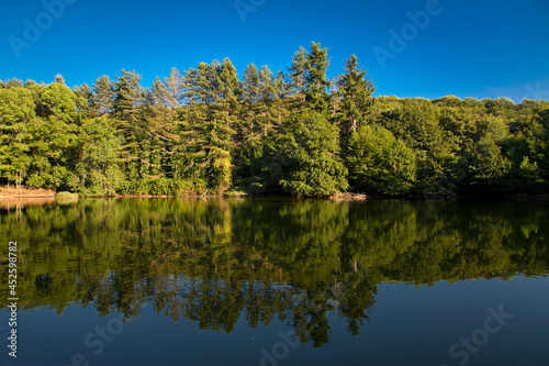 Lake at Umbra forest