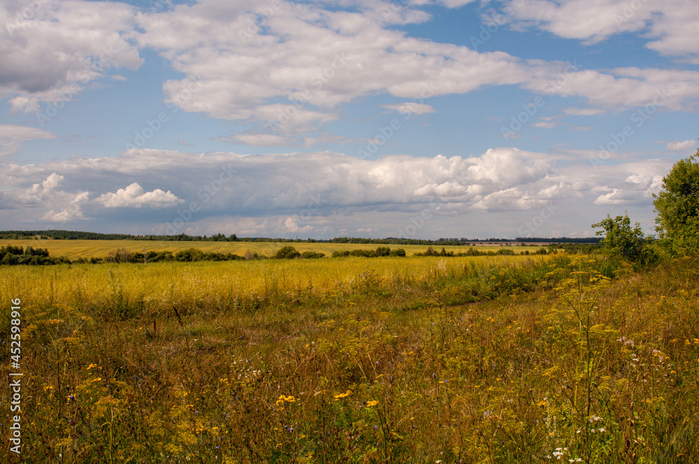 Fototapeta premium Russian field sky