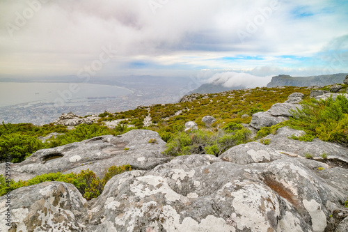 Beautiful views, images and birds on top of Table Mountain, Cape Town, South Africa © fotorudi_101