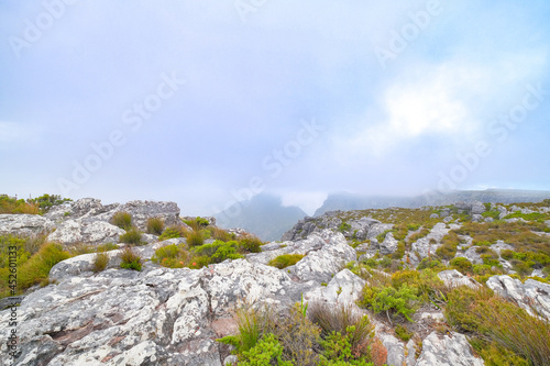 Beautiful views, images and birds on top of Table Mountain, Cape Town, South Africa