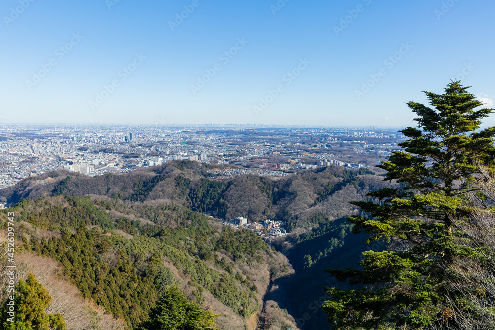 blue sky cityscape of central tokyo seen from autumn takao mauntain in tokyo, japan
