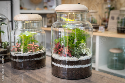 terrarium and flower arrangement photo