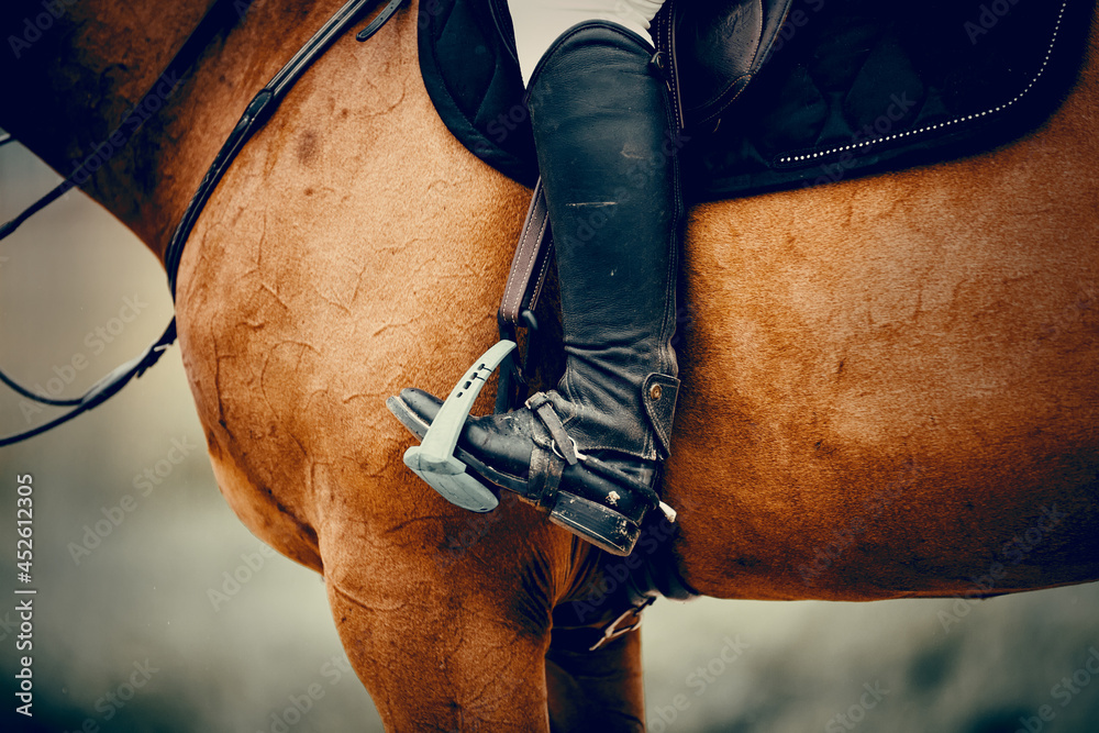Obraz premium Equestrian sport. The leg of the rider in the stirrup, riding on a horse.
