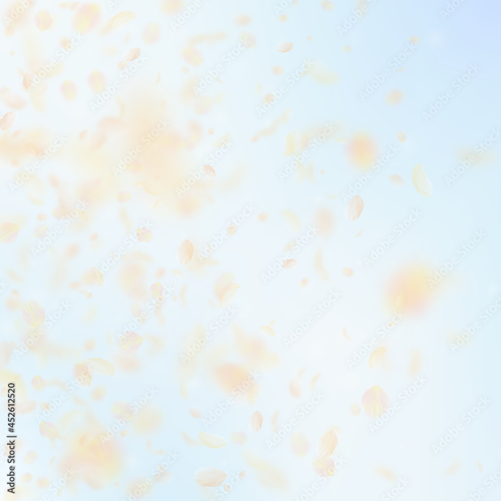 Yellow orange flower petals falling down. Mesmeric Yellow orange flower petals falling down. Mesmeric