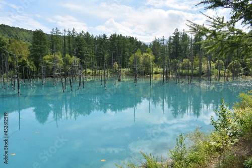 Fototapeta Naklejka Na Ścianę i Meble -  北海道の青い池
