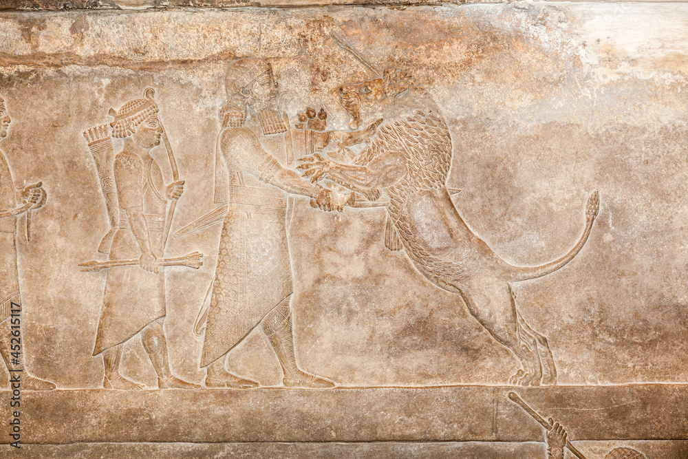 lion hunt Stock Photo Adobe Stock