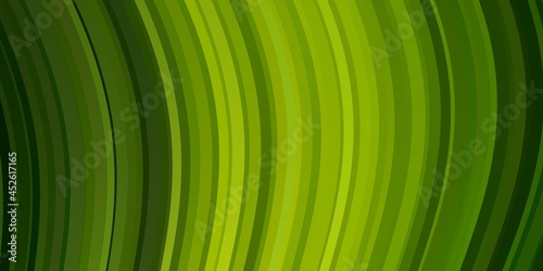 Light Green  Yellow vector template with lines.