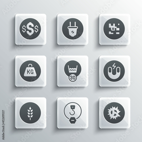 Set Industrial hook, Bomb explosion, Magnet, Temperature wash, Wheat, Weight, Dollar symbol and QR code icon. Vector