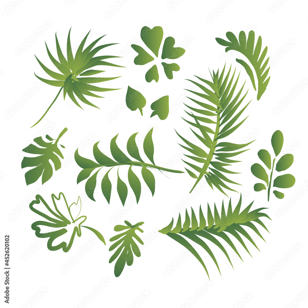 Green leaves isolated on white Green leaves isolated on white
