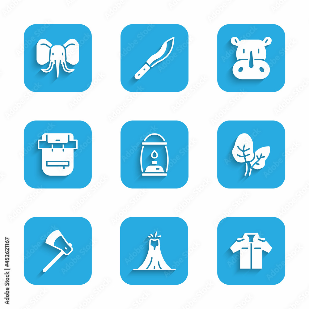 Set Camping lantern, Volcano eruption, Shirt, Tropical leaves, Wooden axe, Hiking backpack, Rhinoceros and Elephant icon. Vector