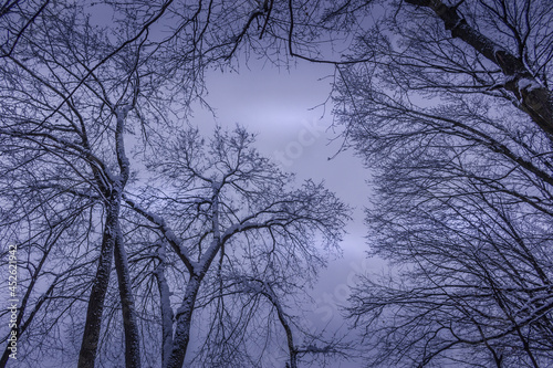 Winter wonderland scene and landscape Ontario Canada