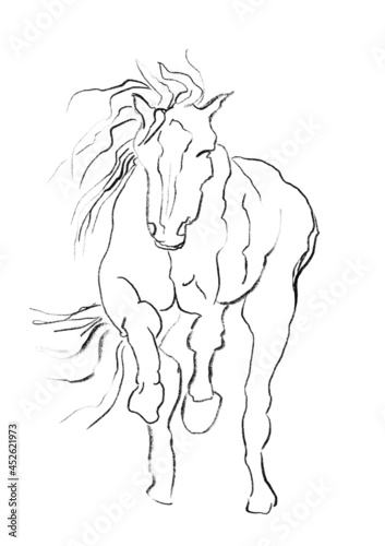Fototapeta Naklejka Na Ścianę i Meble -  horse sketch hand drawn illustration,art design