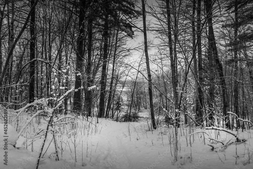 Winter wonderland scene and landscape Ontario Canada