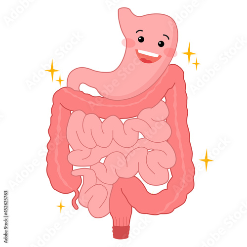 healthy intestine