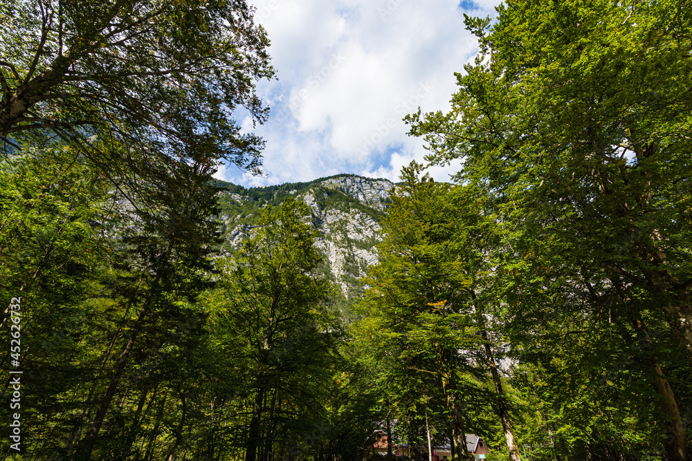 スロベニア　ボーヒニのサヴァイツア滝付近の風景