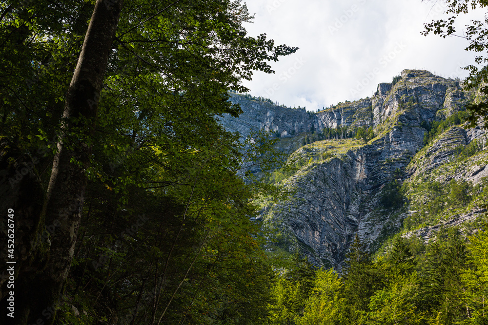 スロベニア　ボーヒニのサヴァイツア滝付近の風景
