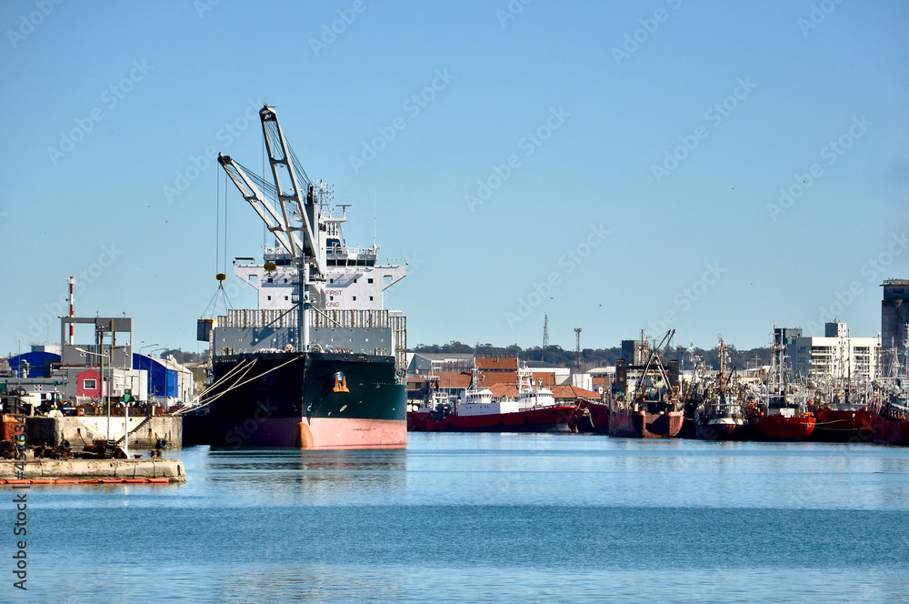 A container ship loading in the port of Mar del Plata, Argentina