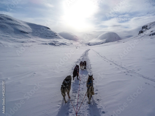 Husky dogs pulling a sled in the snow in Kungsleden. Original public domain image from Wikimedia Commons photo