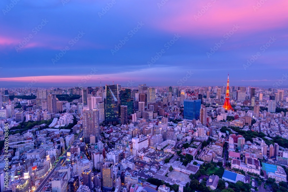 Fototapeta premium 東京夜景 2021