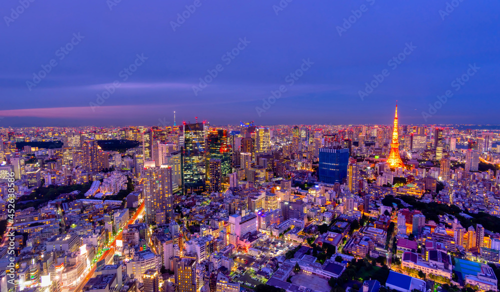 Obraz premium 東京夜景 2021