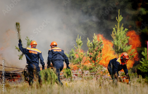 Firefighters with the inscription "commonwealth" extinguish a forest fire in the reserve on a summer day