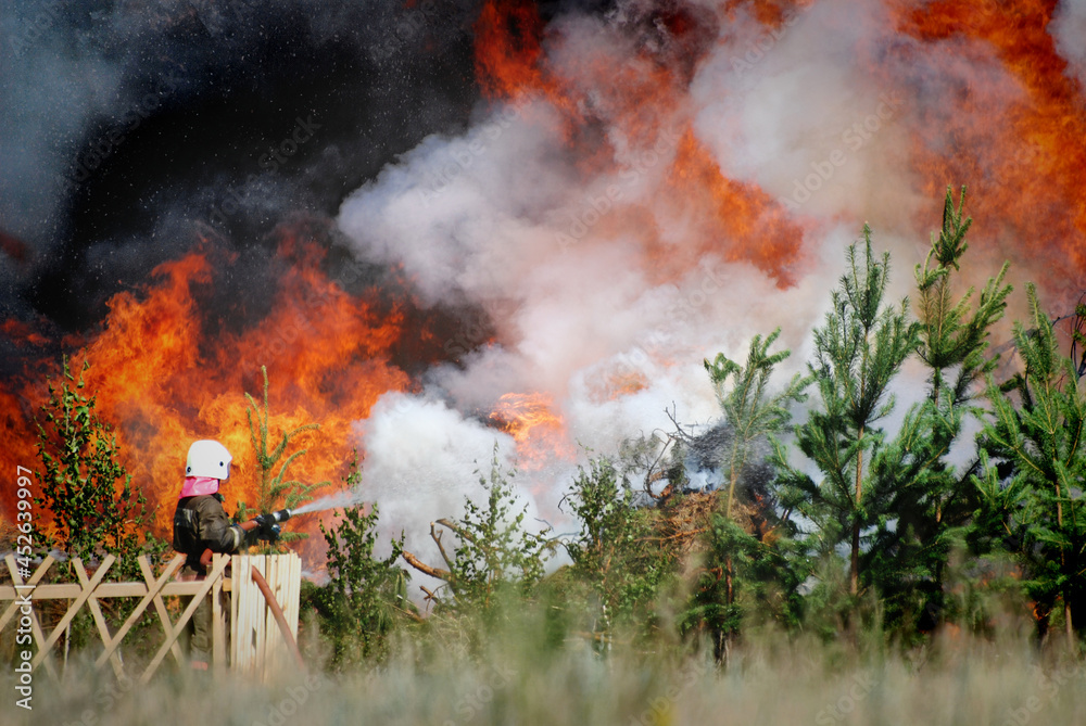 Firefighters extinguish a forest fire in the reserve on a summer day Firefighters extinguish a forest fire in the reserve on a summer day
