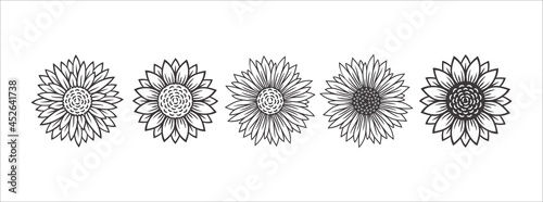 Sunflower blossom vector illustration set. Sunflower, aster, marigold flower illustration design set. Black color