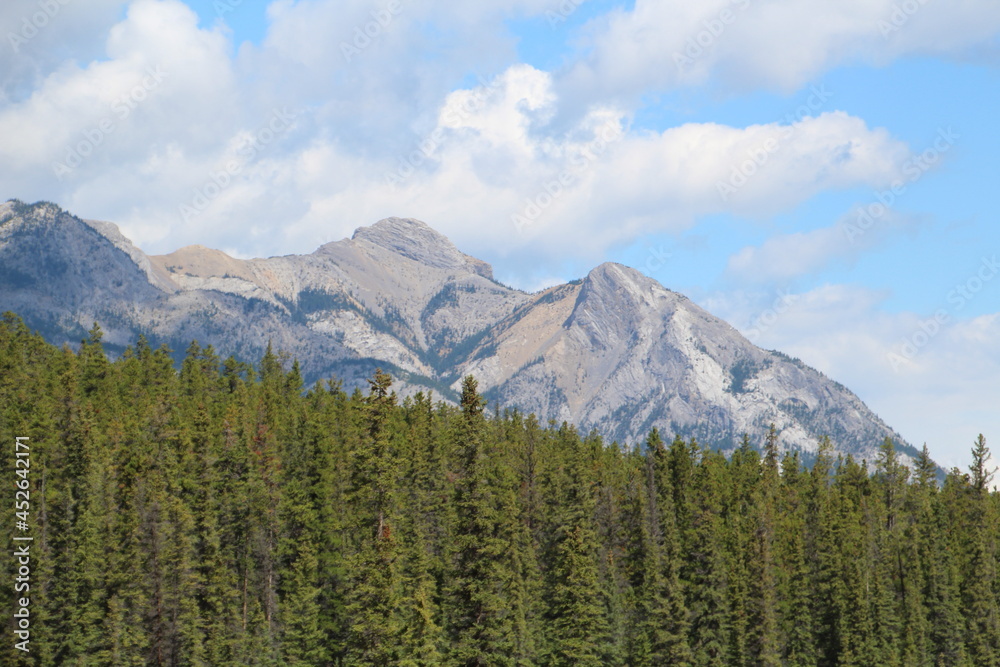 Beauty Of The Mountains, Nordegg, Alberta