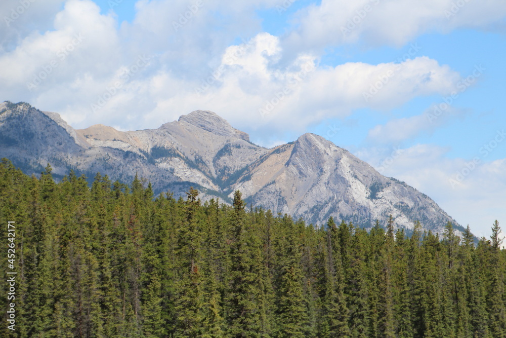 Beauty Of The Mountains, Nordegg, Alberta Beauty Of The Mountains, Nordegg, Alberta