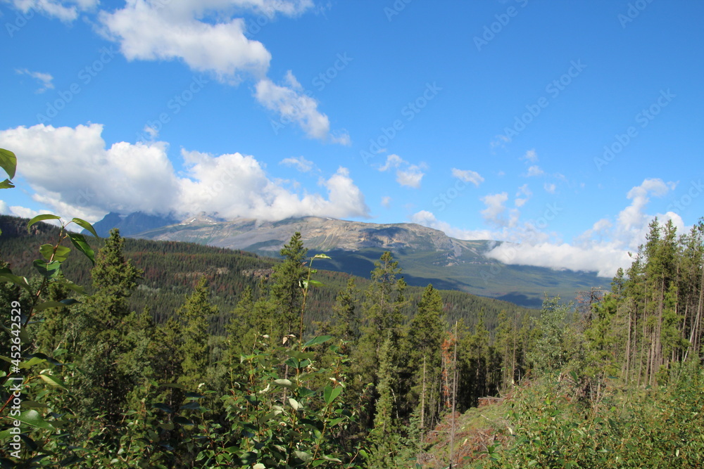 Summer In The Mountains, Jasper National Park, Alberta