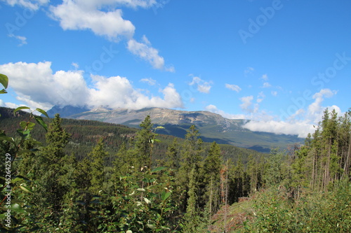 Summer In The Mountains  Jasper National Park  Alberta