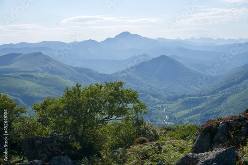 Vista aérea de la selva Irati en navarra