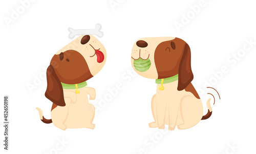 Cute funny beagle dog set. Cute pet animal playing witn bone and ball cartoon vector illustration