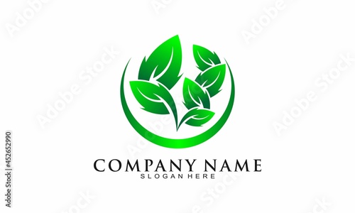 Elegant leaf logo design