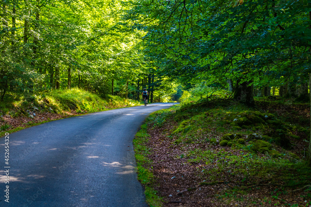 Parque Natural de Urbasa y Andia en Navarra, (País Vasco, España). Parque Natural de Urbasa y Andia en Navarra, (País Vasco, España).