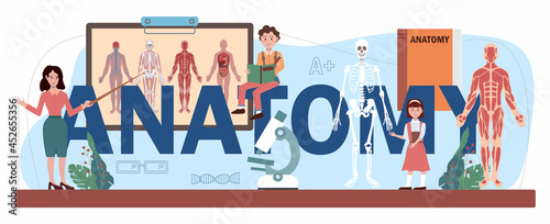 Anatomy typographic header. Internal human organ studying. Anatomy and biology