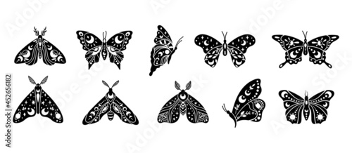 Mystical boho celestial butterfly and moth isolated cliparts bundle, mystical collection, moon and stars ornament, magic line crescent moon, esoteric objects - black and white vector illustration set photo