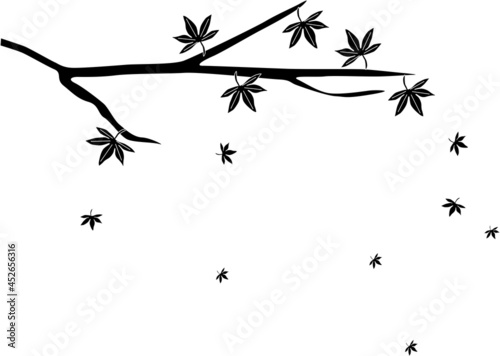 紅葉の葉が散るシルエット