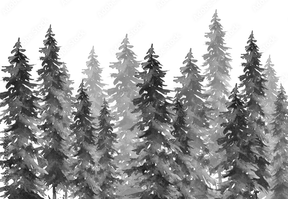 Obraz premium Watercolor group of trees - fir, pine, cedar, fir-tree. Watercolor banner, logo, postcard. Black silhouette of the forest, pine, spruce, cedar. Watercolor landscape.Black silhouettes