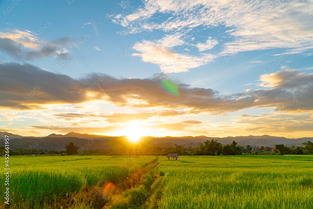 Green rice fields during sunset with clouds sky and flare light at Mae Hong Son province Thailand. 