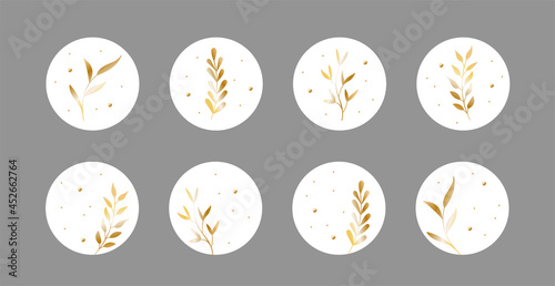 Vector highlight story cover icons for social media. Abstract circle luxury backgrounds with golden leaves for instagram