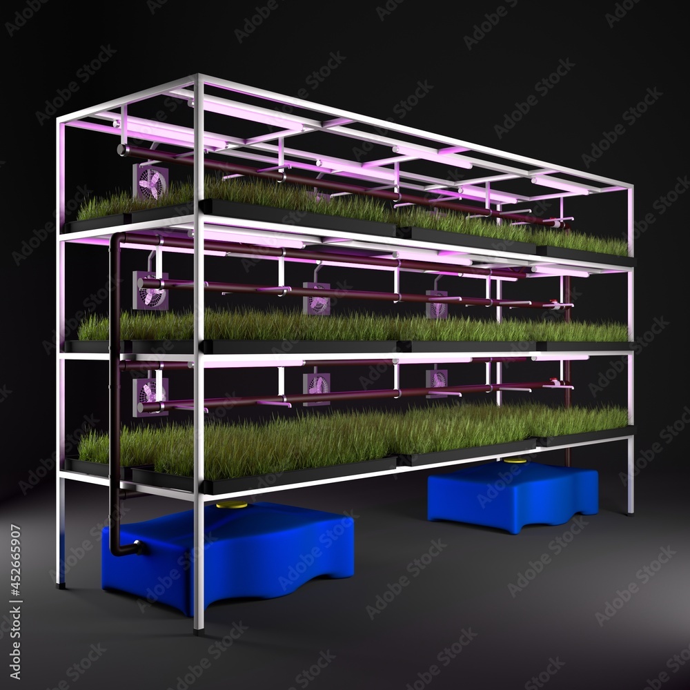 Greenhouse Hydroponic Systems for Plant. Automated plant growing system. Automated plant growing