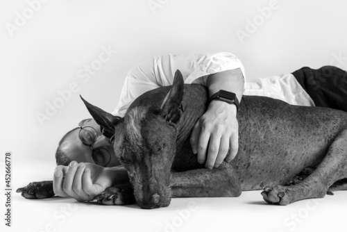 Black and white pic of young stylish male in formal shirt lying down on the floor, hugs dogs without hair. Mexican Hairless Dog, or Xoloitzcuintle, exotic unusual breed. Copy space.