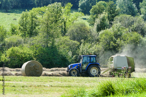 Fotografija Tractor pulling a baler over lines of dry cut hay to make hay bales for animal f