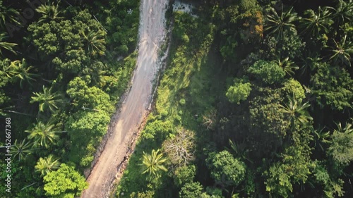 Jungle green road with palm trees on tropical Koh Phangan Island in Thailand. Tracking aerial drone view of rural nature forest landscape, travel route in Asia. Eco tourism, environment concept. photo