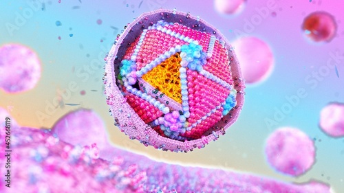 Iridovirus cross-section, illustration photo