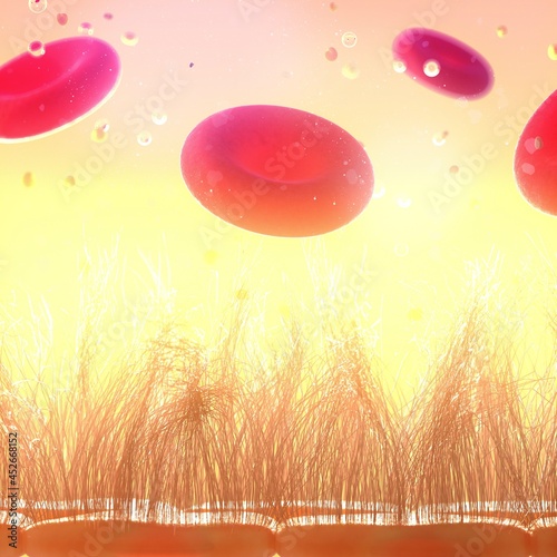 Glycocalyx on endothelial cell surface, illustration