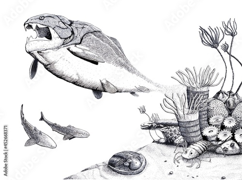 Devonian fauna, illustration photo