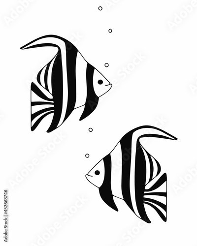 Exotic coral reef fish. Underwater swimming animals. Tropical fish Angel in black stripes. vector cartoon hand drawn illustration